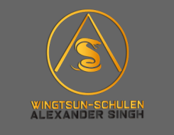 WingTsun-Kampfsport in Schweich bei Alexander Singh | Schweich